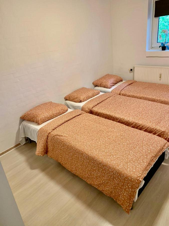 15 Min Walk To Lego House/50M2 Apartment With Garden Billund  Exterior foto